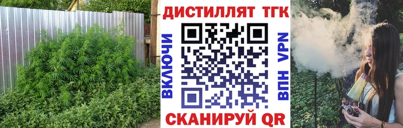 сколько стоит  блэк спрут ССЫЛКА  Дистиллят ТГК жижа  Пустошка 