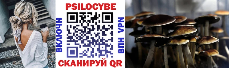 закладка  Пустошка  Галлюциногенные грибы прущие грибы 
